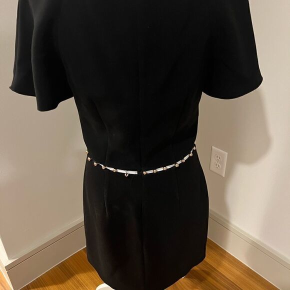 Rachel Zoe dress  - Picture 6 of 11